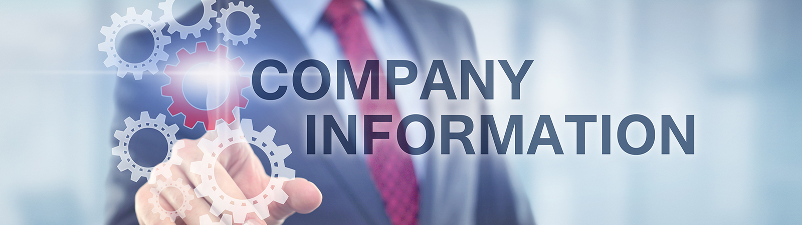 Company Information banner